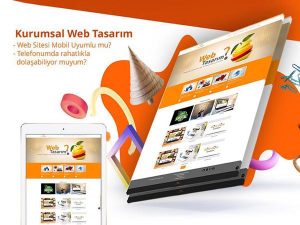 Balıkesir Web Tasarım